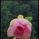 라이트디자인 이미지