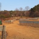 클로바농장 이미지