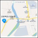 강원백운산삼농원 이미지