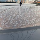 금왕카써비스 이미지