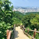 원적산 정상 이미지