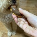 똘멍이네 이미지