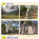 제1164차(26-14) 경주 남산정기산행공지(2026년 3월7일) 이미지