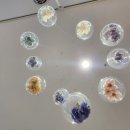 군포시 그림책꿈마루 | 그림책꿈마루 도서관 : 기획전시 - 「동네책방」