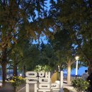 초록하다 이미지