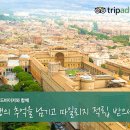 트립얼라이언스