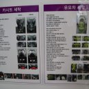 크린팩토리 이미지