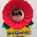 다빛 태권도장 이미지