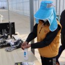 농업회사법인(주)태성팜 네이버블로그