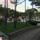 신흥문화공원/충남중 옆 이미지