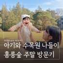 공공용 57 | 서울 아기랑 가볼만한곳 동대문 홍릉숲 탐방 후기 ㅣ 주차 숲해설 예약 방법