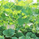 윤희농장 이미지