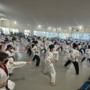 경희라온태권도 이미지