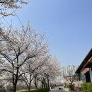 수원시 체육회주변 이미지