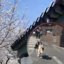 기분꽃같네 이미지