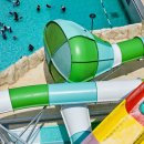 스플라스리솜 이미지