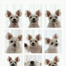 뚱띵이갈비 | 10월 거의 정산