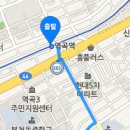 양지수선 이미지