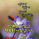 예쁜하루 이미지