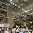 더현대팝업 원두없는커피 커피대체제로 핫한 SANS 산스 커피 내돈내산 후기