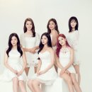 베리유닛