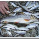 성산 우리집 이미지