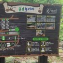 거제자연휴양림(거제) 이미지