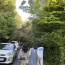 남원읍-54 이미지