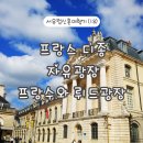 서유럽 신혼여행(18) 프랑스 디종 생미셸 교회 자유광장 (liberation square)프랑수아 뤼드 광장