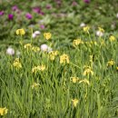 화북면보건지소 이미지