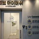 리브 아이래쉬 이미지