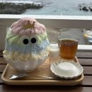 강아지맛집 이미지