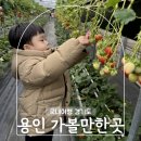 지수농장 | 용인가볼만한곳 아이랑 딸기체험농장 동물 먹이주기체험
