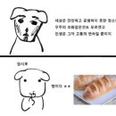 (주)한국메도상사 | 시드니 워홀2 ☼ 집 못구하면 한국집간다. 했다가 집도 잡도 구한 한 주