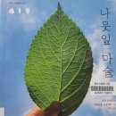 (5원 소만) 나뭇잎이야기 이미지