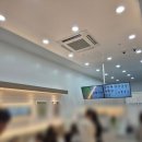 동탄 신상 요거트 아이스크림 요거트월드 오픈 기념 방문 후기
