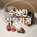 수상한집주인 | 플랜테리어 미니 선인장 백성 아미산 집들이 선물 추천 | 수상한 식물가게 푸키 PUKI