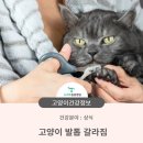 청학동물병원 이미지