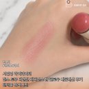 서인영 하이라이터 힌스 트루 디멘션 래디언스 밤 글로우 내돈내산 후기 텐더룸 발색사진
