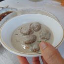 꿀참나무 이미지