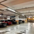 산내 | 파주 운정 양꼬치 맛집 산내마을양꼬치&amp;칭따오 - 산내마을 맛집 후기