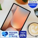 태블릿PC 갤럭시 탭 S10 플러스 후기 ( 필기용 추천 이유 총정리