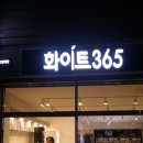 화이트365충남