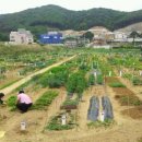 선용농장 이미지