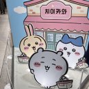 매일또샵 | 용산 아이파크몰 치이카와샵 예약 방문 후기