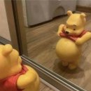 더블유여성병원 이미지