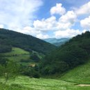 사방염소농장 이미지