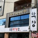 빈야드10(vineyard10) 이미지