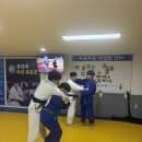 용인대 다산 유도관 네이버블로그