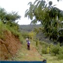 섭이네 농장 이미지